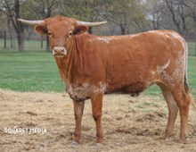 FIFTY FIFTY ROSE GOLD