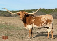 PUT A RING ON IT BCB