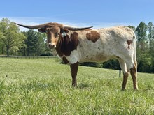 Rustic Ruby