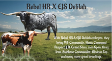 EJS Delilah X Rebel HR