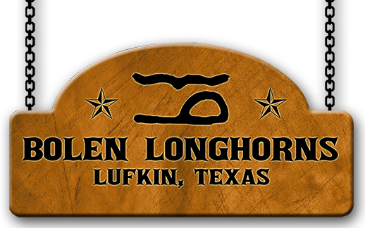 Bolen Longhorns